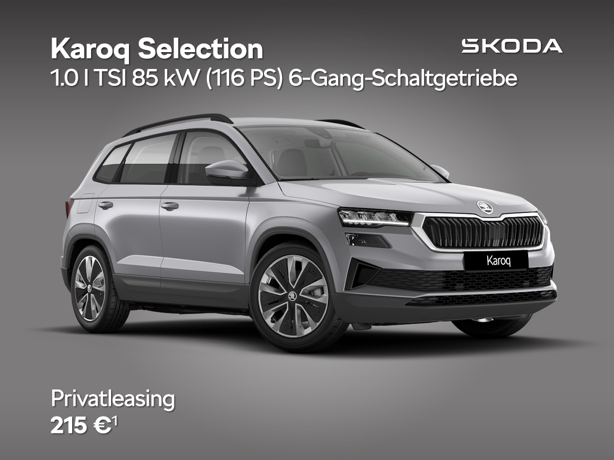 Škoda Karoq Selection, silber