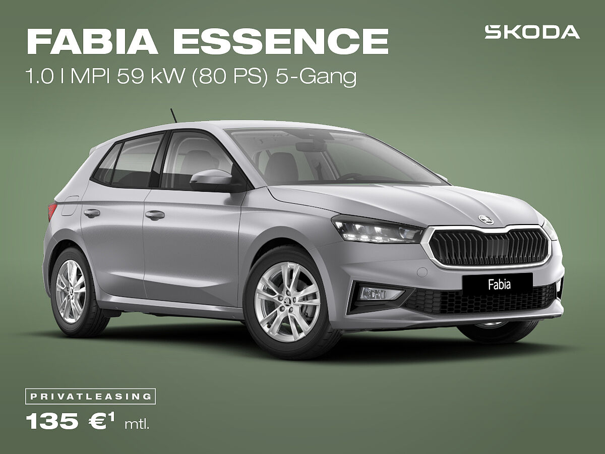 Škoda Fabia Essence, grau