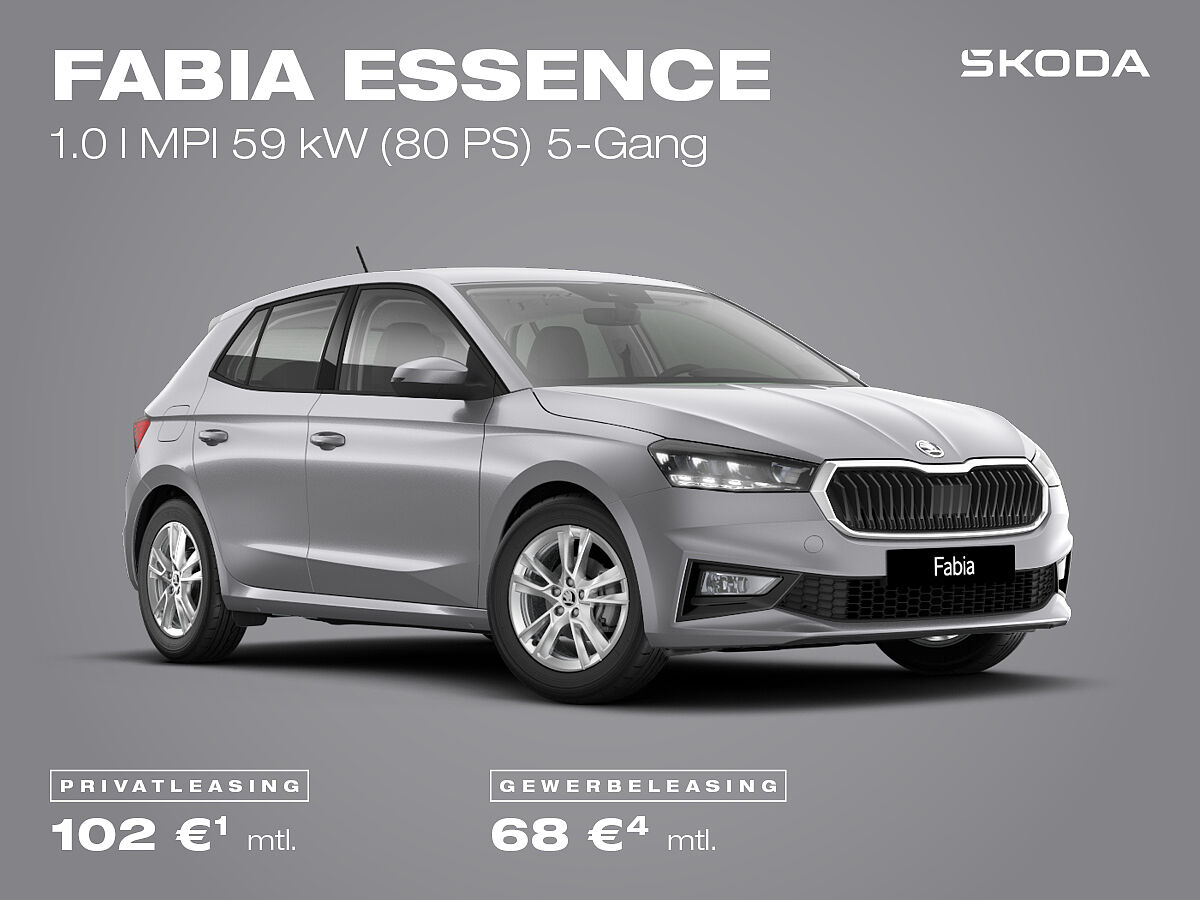 Škoda Fabia Essence, grau