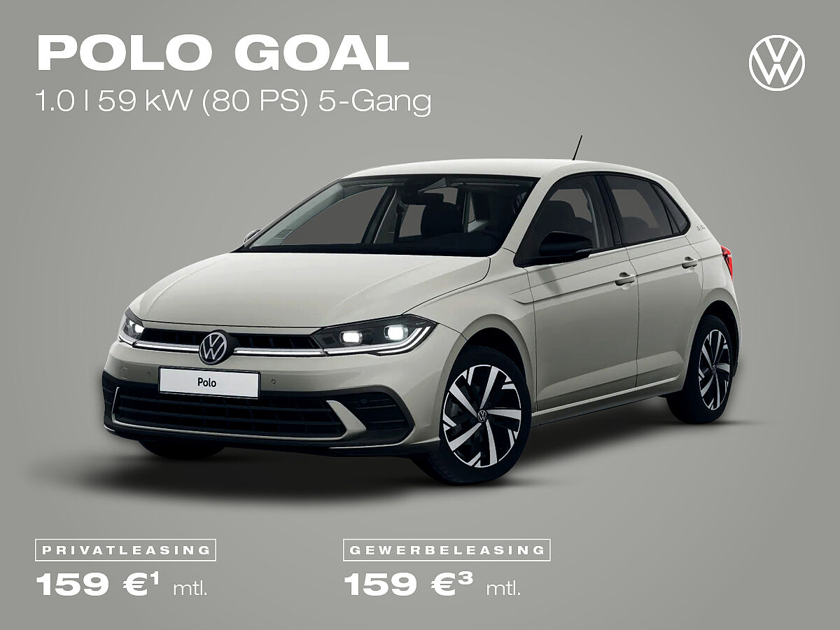 Volkswagen Polo GOAL, grau